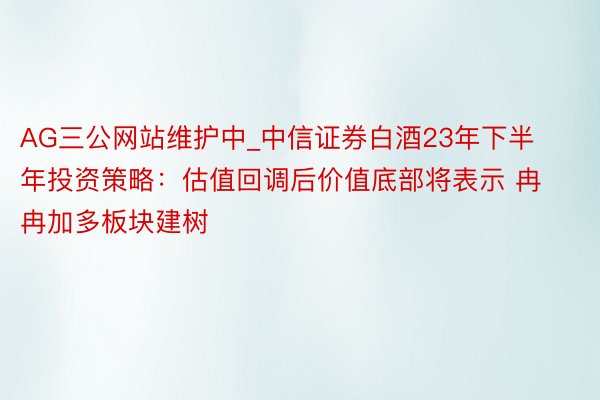 AG三公网站维护中_中信证券白酒23年下半年投资策略：估值回调后价值底部将表示 冉冉加多板块建树